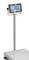 Elektroniczna waga na statywie z cyfrowym wyświetlaczem, pokazująca '0,000'. Odpowiednia do precyzyjnych pomiarów w środowiskach przemysłowych.