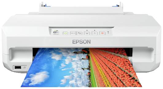 Drukarka atramentowa firmy Epson drukująca zdjęcie kolorowych pól tulipanów.