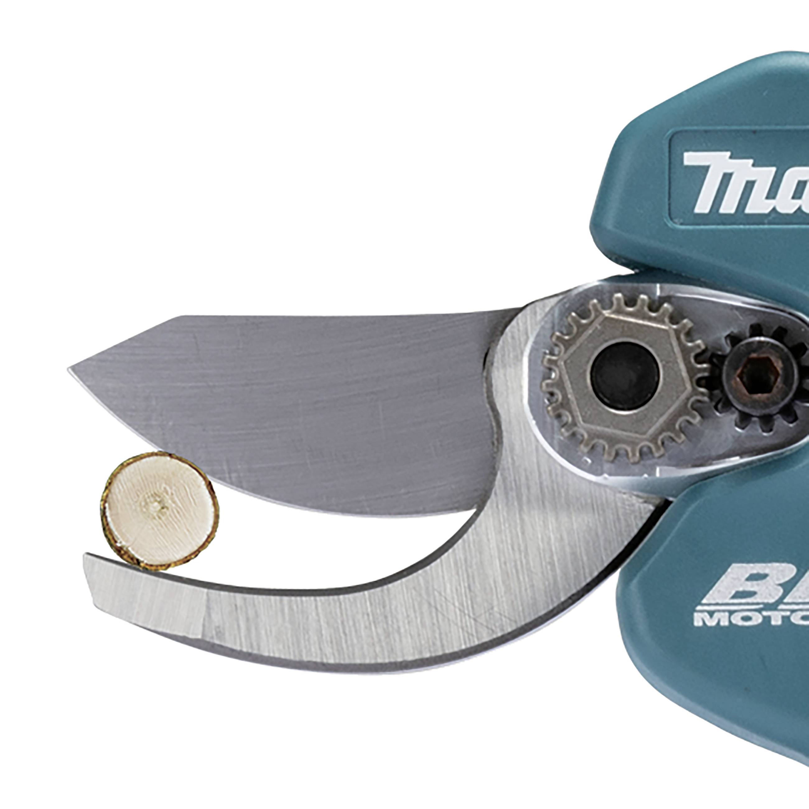 Zbliżenie elektrycznego sekaotra z ząbkowanym ostrzem i odciętym kawałkiem gałęzi.