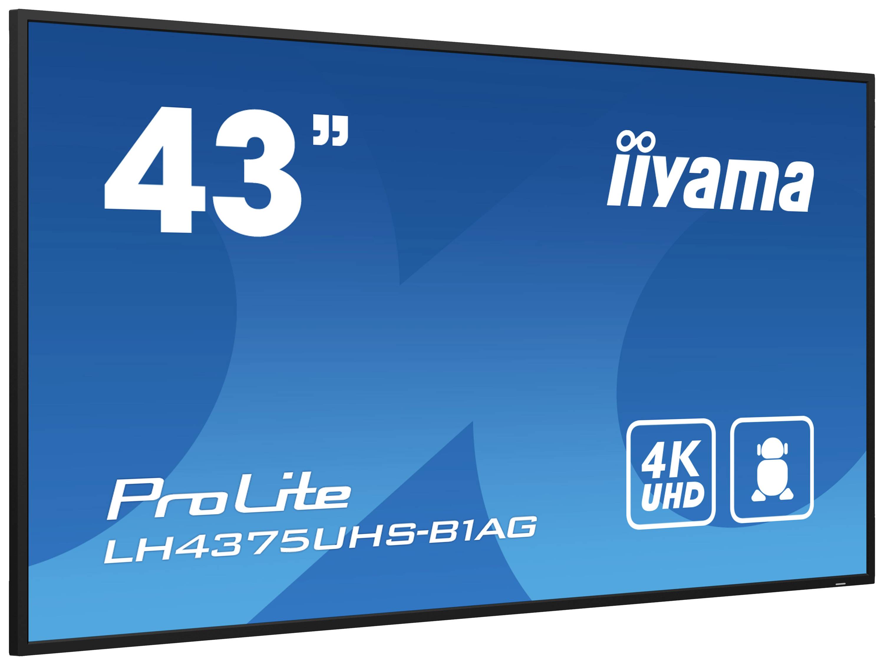 Iiyama ProLite 43-calowy monitor 4K UHD, model LH4375UHS-B1AG.