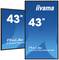Dwa monitory firmy iiyama, model ProLite LH4375UHS-B1AG, o przekątnej ekranu 43 cale, ustawione w orientacji pionowej i poziomej.