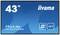 Monitor iiyama ProLite LE4341S-B2. Rozmiar: 43 cale, Full HD, czas pracy: 18/7 godzin.