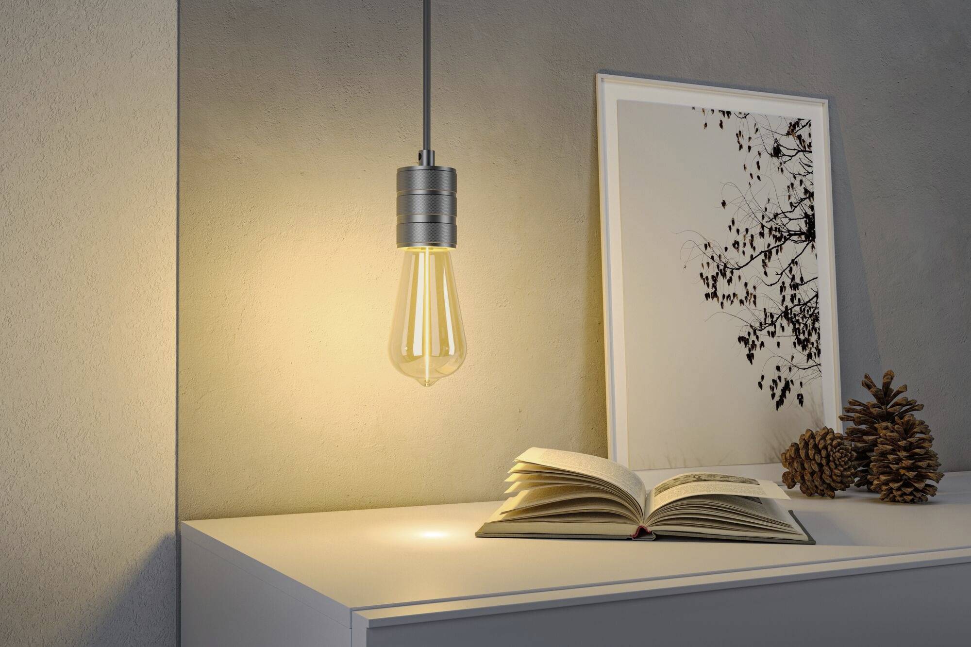 Otwarta stronica książki na podświetlonym stole, obok żarówki i oprawionego dzieła sztuki. W tle leżą szyszki sosnowe.