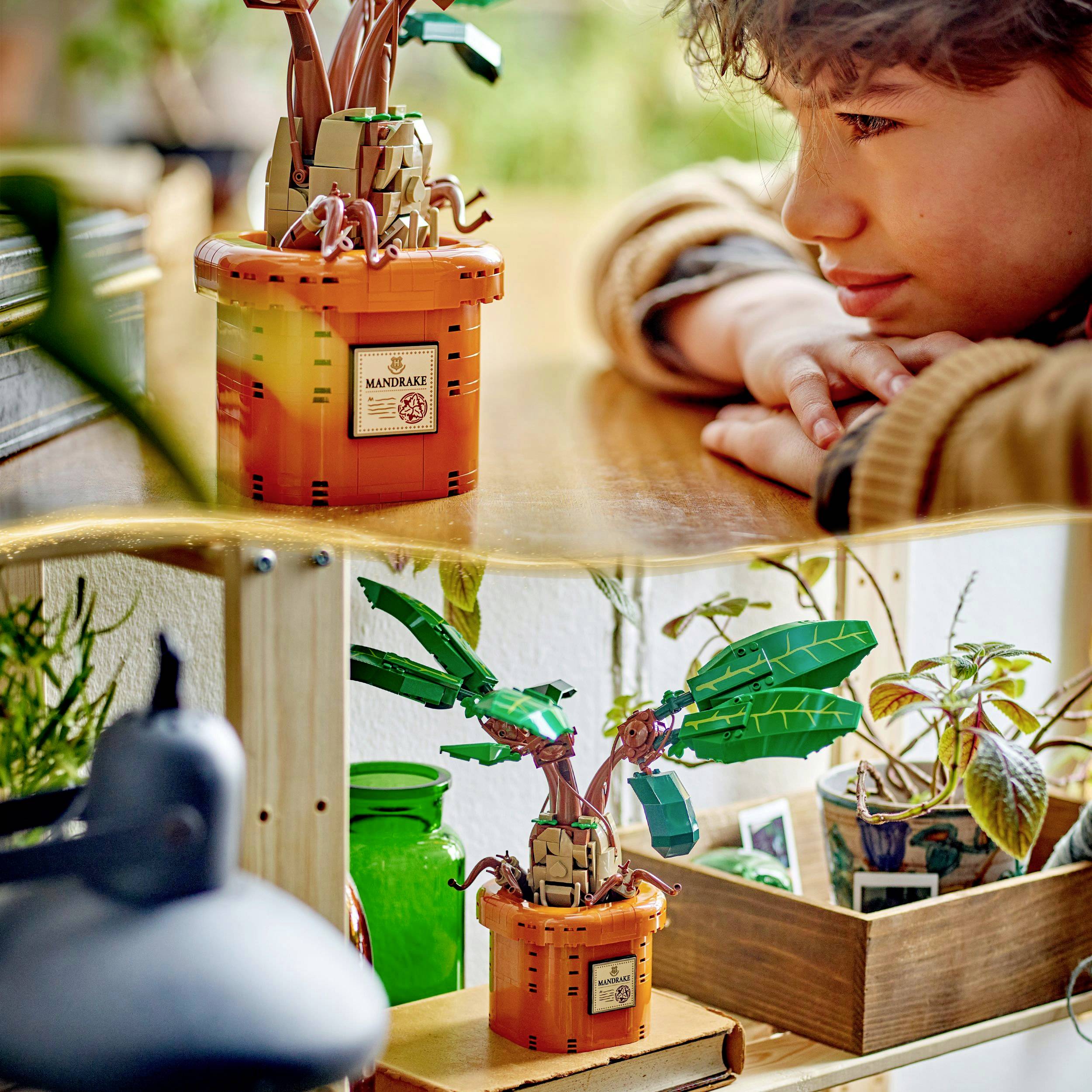 LEGO® HARRY POTTER™ 76433 Roślina miksturowa: Mandragora
