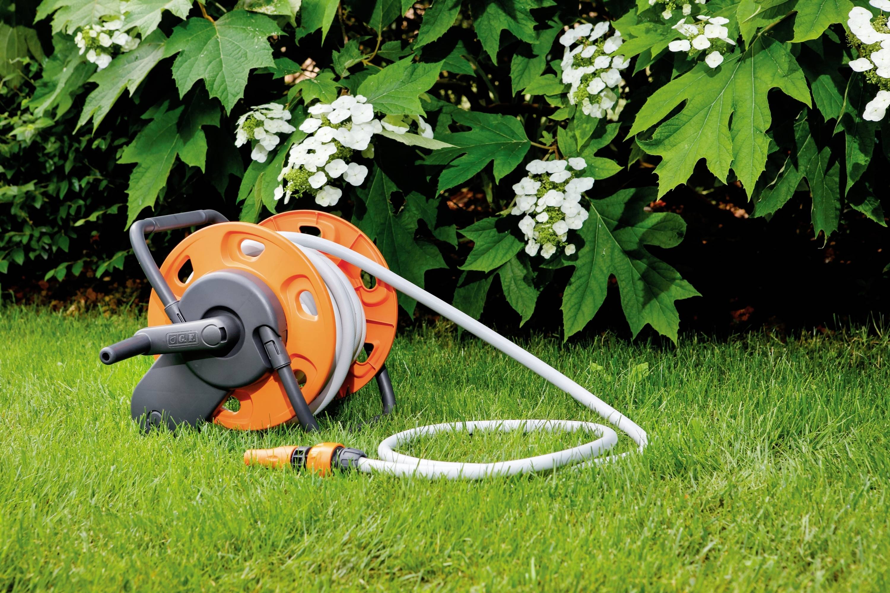 Pomarańczowy wąż ogrodowy na rolce leży na trawniku przed żywopłotem z zielonymi liśćmi i białymi kwiatami.