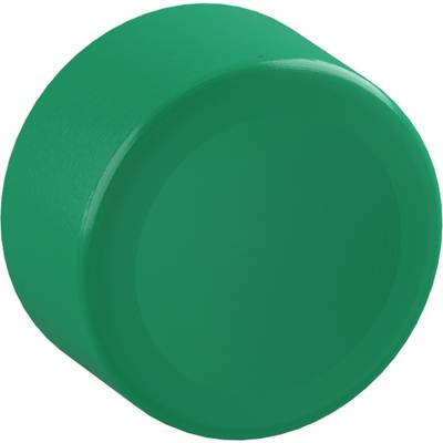 Zielony, plastikowy dekiel od butelki, okrągły i gładki, leży płasko i jest umieszczony centralnie.