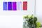 Cztery kolorowe kartki (niebieska, fioletowa, różowa, czerwona) są przymocowane do białej tablicy. Na pierwszym planie stoi roślina.