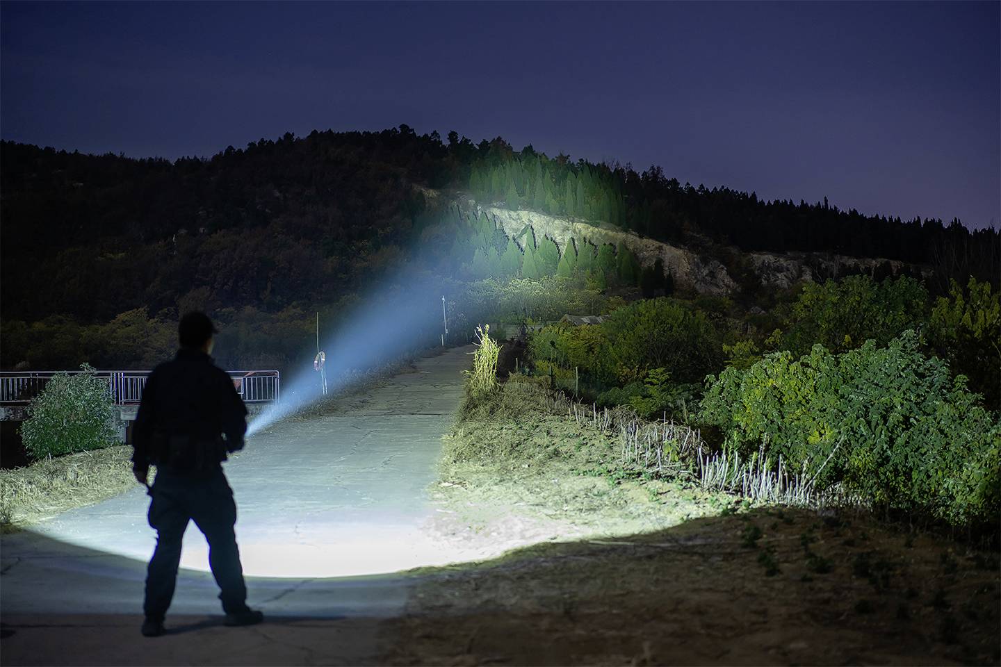 Osoba oświetla nocą latarką ścieżkę prowadzącą na zalesione wzgórze.