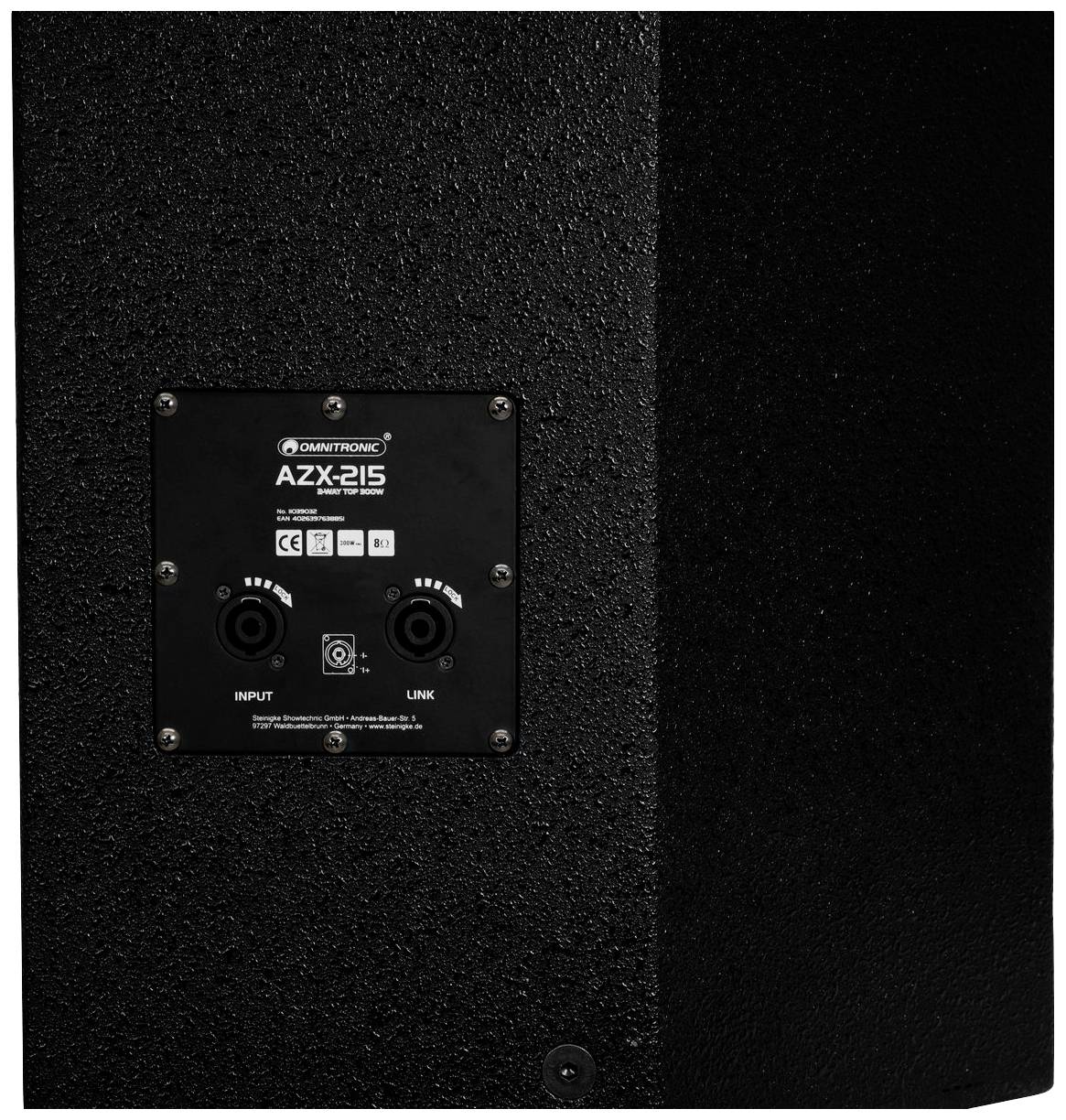 Tylna strona głośnika, interfejsy i złącza wyraźnie widoczne.