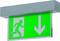 Znak awaryjnego wyjścia z zielonym podświetleniem w tle przedstawia osobę biegnącą w prawo oraz biały strzałkę skierowaną w dół.