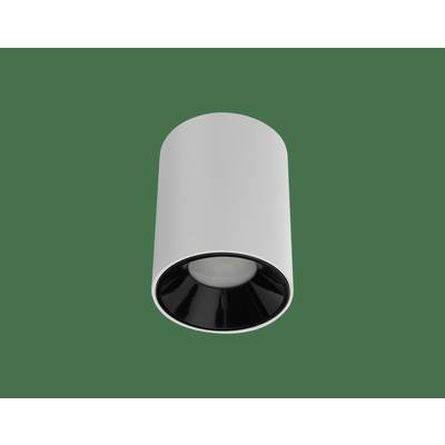 Biała cylindryczna lampa sufitowa z czarną obwódką wewnętrzną na zielonym tle.