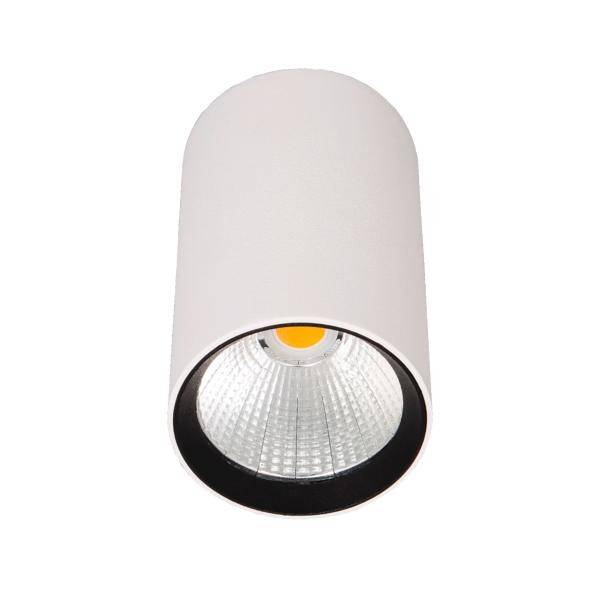 Cylindryczna lampa sufitowa z białą obudową i refleksyjnym wnętrzem, zapewniająca skoncentrowane oświetlenie.