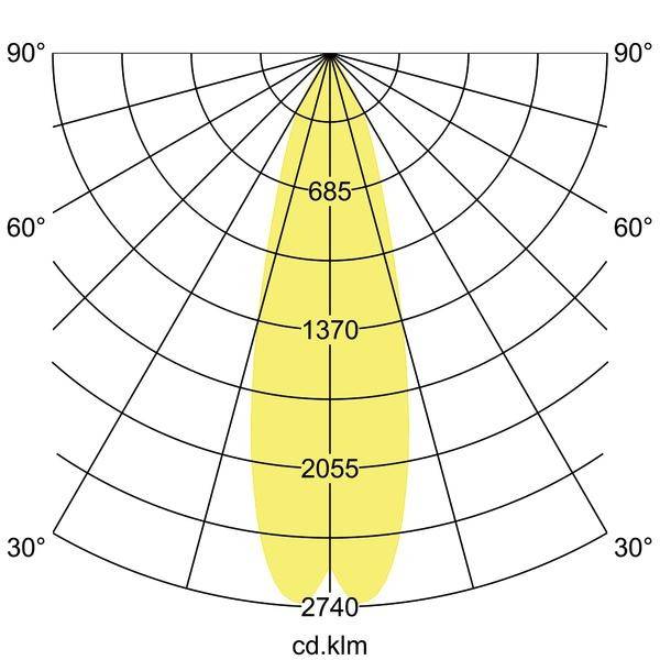 Diagram biegunowy wiązki światła, wyśrodkowana żółta elipsa. Wartości natężenia światła: 685, 1370, 2055, 2740 cd/klm. Oznaczenia kątowe od 30° do 90°.
