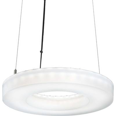 Nowoczesna, okrągła lampa sufitowa z mlecznym, rozproszonym pierścieniem świetlnym, zawieszona na cienkich linkach; minimalistyczny design.