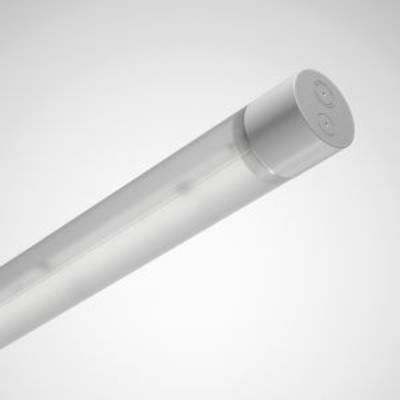 Długi, wąski, przezroczysty cylinder z płaskim, szarym zakończeniem.