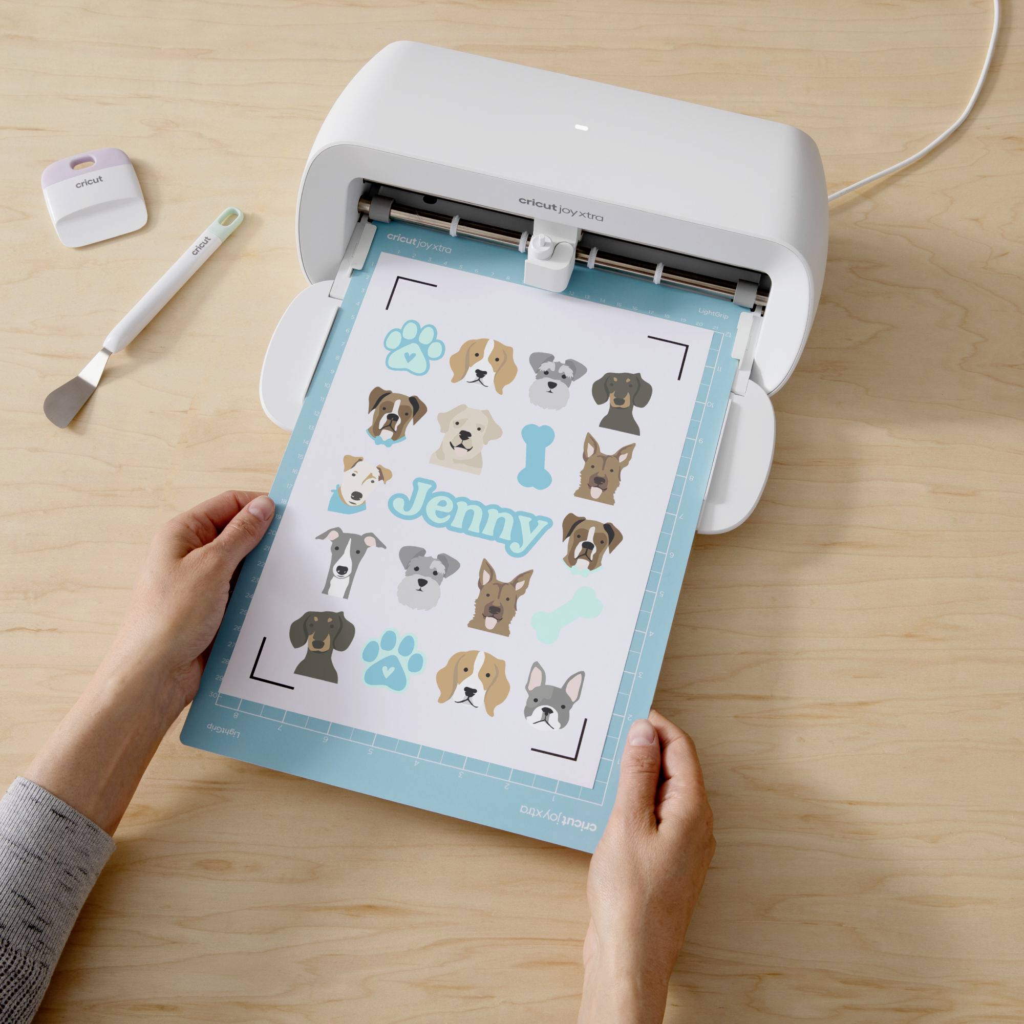 Osoba trzyma arkusz z klipsami do włosów psa w maszynie tnącej. Na arkuszu widnieje napis 'Jenny'. Obok na stole leżą różne przybory.