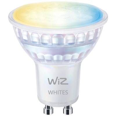 Żarówka LED z gniazdem GU10 marki 'WiZ', światło zimne i ciepłe, energooszczędna.