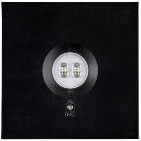 Світильник безпеки для стельового монтажу H1 Solutions 1046