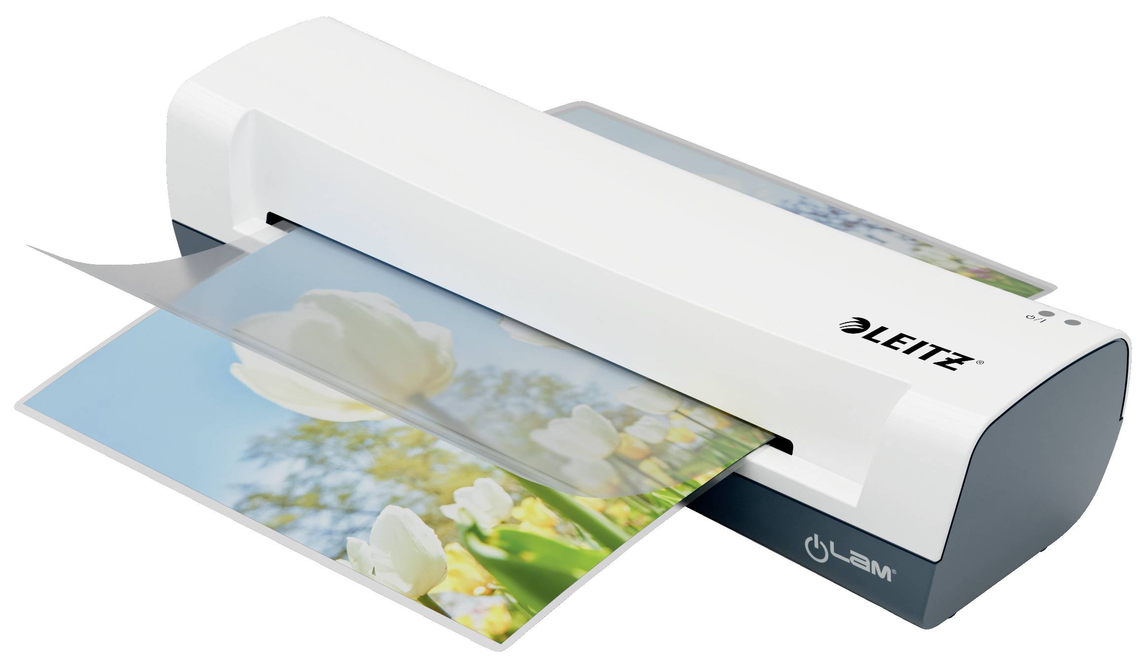 Laminator marki Leitz laminujący zdjęcie białych tulipanów. Urządzenie jest białe z ciemnoszarą krawędzią.