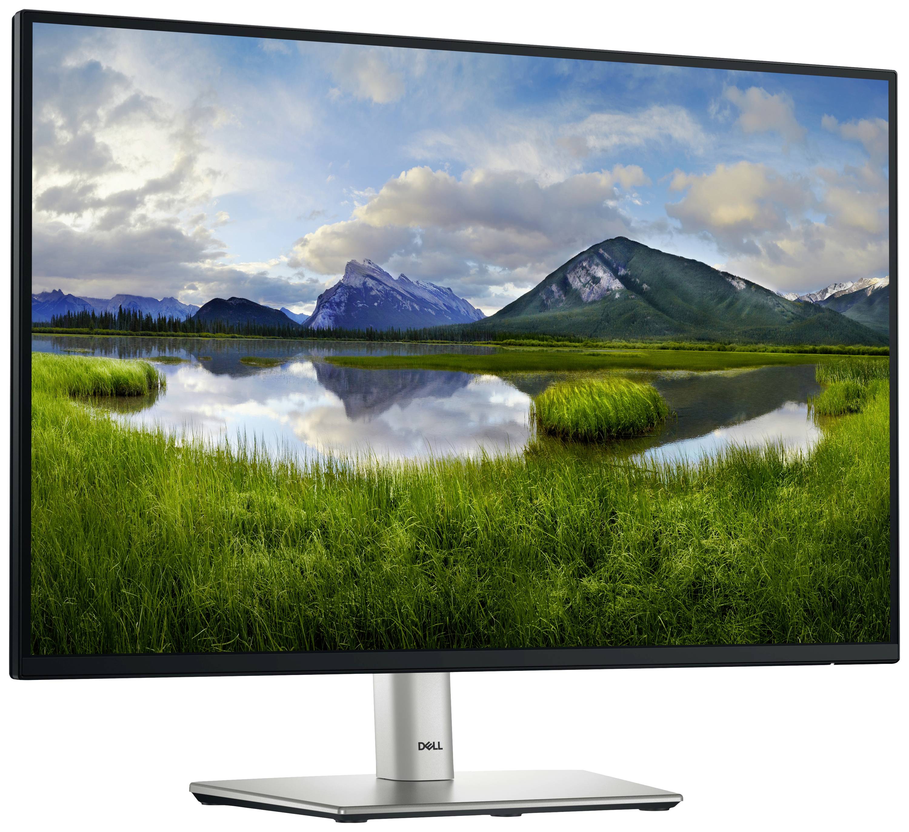 Монітор Dell P2425 EEK D (A - G) 61 см (24 дюйми) 1920 x 1200 пікселів 16:10 5 мс HDMI, DisplayPort, VGA, USB-B, USB 3.2 Gen 1, US