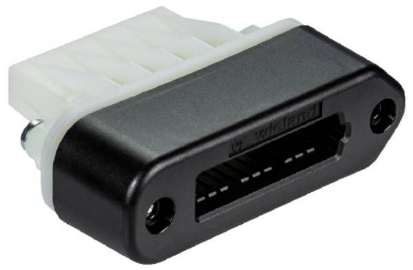 Wieland Electric Z6.563.6553.0 Zaślepka przewodu    10 szt.