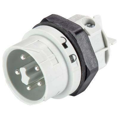 Szary elektryczny adapter wtykowy z czterema metalowymi stykami, czarną taśmą i obudową z tworzywa sztucznego, służący do podłączania urządzeń.