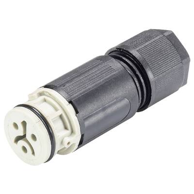 Czarny, cylindryczny wtyk z trzema okrągłymi stykami, odpowiedni do połączeń elektrycznych.