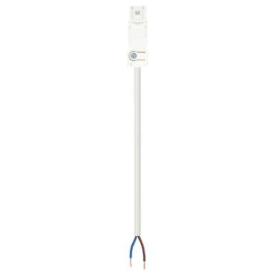 Biały kabel z osłoną z tworzywa sztucznego, rozgałęziający się na dwa kolorowe przewody, niebieski i brązowy.