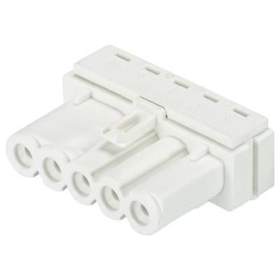 Biała listwa zasilająca z tworzywa sztucznego z pięcioma gniazdami, odpowiednia do podłączeń elektrycznych.