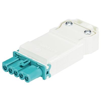 Białe elektryczne gniazdko z pięcioma zielonymi otworami stykowymi i dwoma srebrnymi śrubami mocującymi, umieszczone na białym tle.