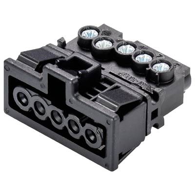 Czarny elektryczny wtyk z pięcioma okrągłymi otworami i pięcioma białymi złączami przyciskowymi na górze.