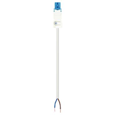 Białe przewody elektryczne z niebieskimi i brązowymi przewodami wewnętrznymi, połączone z niebieskim i białym złączem.
