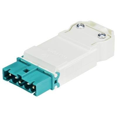 Biały elektryczny złącz z niebieską przednią stroną i trzema gniazdami, zamocowany za pomocą dwóch widocznych śrub.