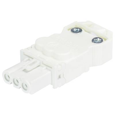 Biały, trzystykowy wtyk elektryczny z dwoma śrubami mocującymi.