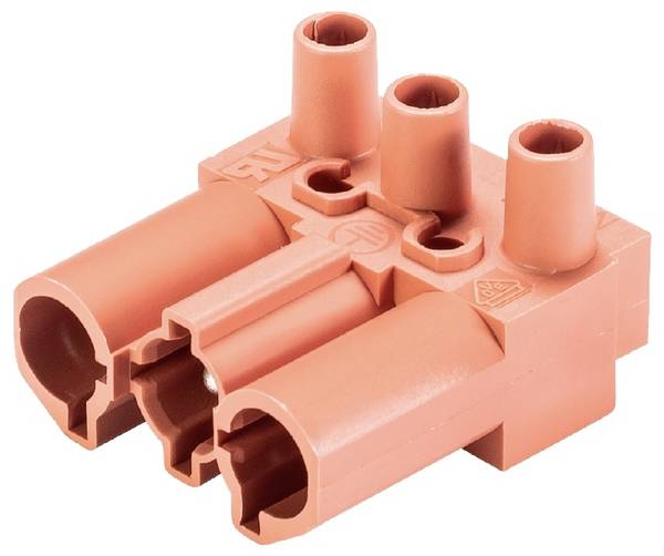 Przyłącze urządzenia Wieland Electric 92.032.3658.0