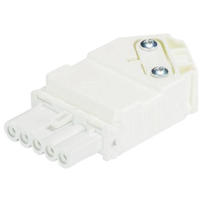 Biały elektryczny adapter wtykowy z pięcioma otworami przyłączeniowymi i dwiema widocznymi śrubami. Odpowiedni do określonych połączeń kablowych.