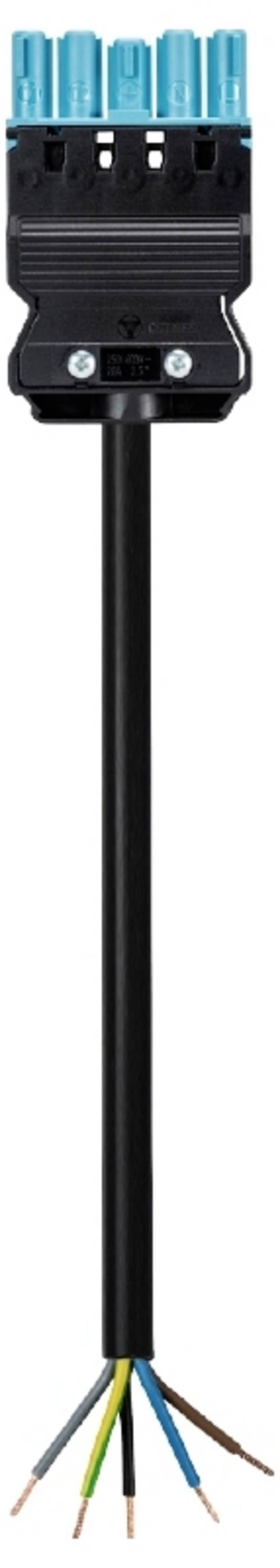 Przewód połączeniowy Wieland Electric 92.257.1003.9   czarny 1 m