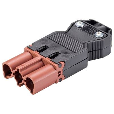 Zbliżenie trójbiegunowego złącza elektrycznego z czerwoną i czarną obudową z tworzywa sztucznego oraz dwoma metalowymi śrubami na górnej powierzchni.