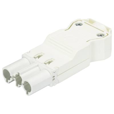 Biały, prostokątny wtyk elektryczny z dwoma równoległymi otworami i dwoma widocznymi śrubami na górze.