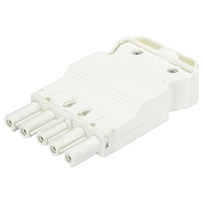 Biały, pięciopinowy złącze elektryczne. Idealny do zastosowań przemysłowych lub elektronicznych.