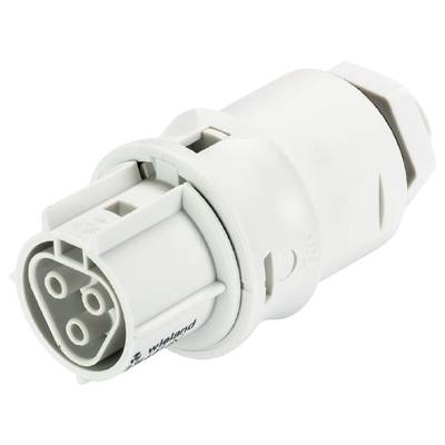 Biały, cylindryczny wtyk elektryczny z wieloma okrągłymi stykami, oznaczony jako 'Wieland', używany do łączenia przewodów.