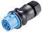 Czarny, cylindryczny wtyk z niebieskim, wielostykowym złączem, odpowiedni do przemysłowych połączeń elektronicznych.
