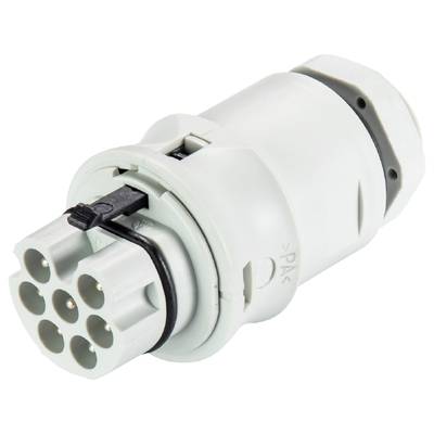 Cylindryczny, biały wtyk elektryczny z kilkoma okrągłymi stykami na białym tle.