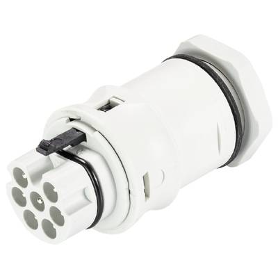 Biały wtyk sześciobiegunowy z czarnym pierścieniem zamykającym, odpowiedni do połączeń elektrycznych w zastosowaniach technicznych.