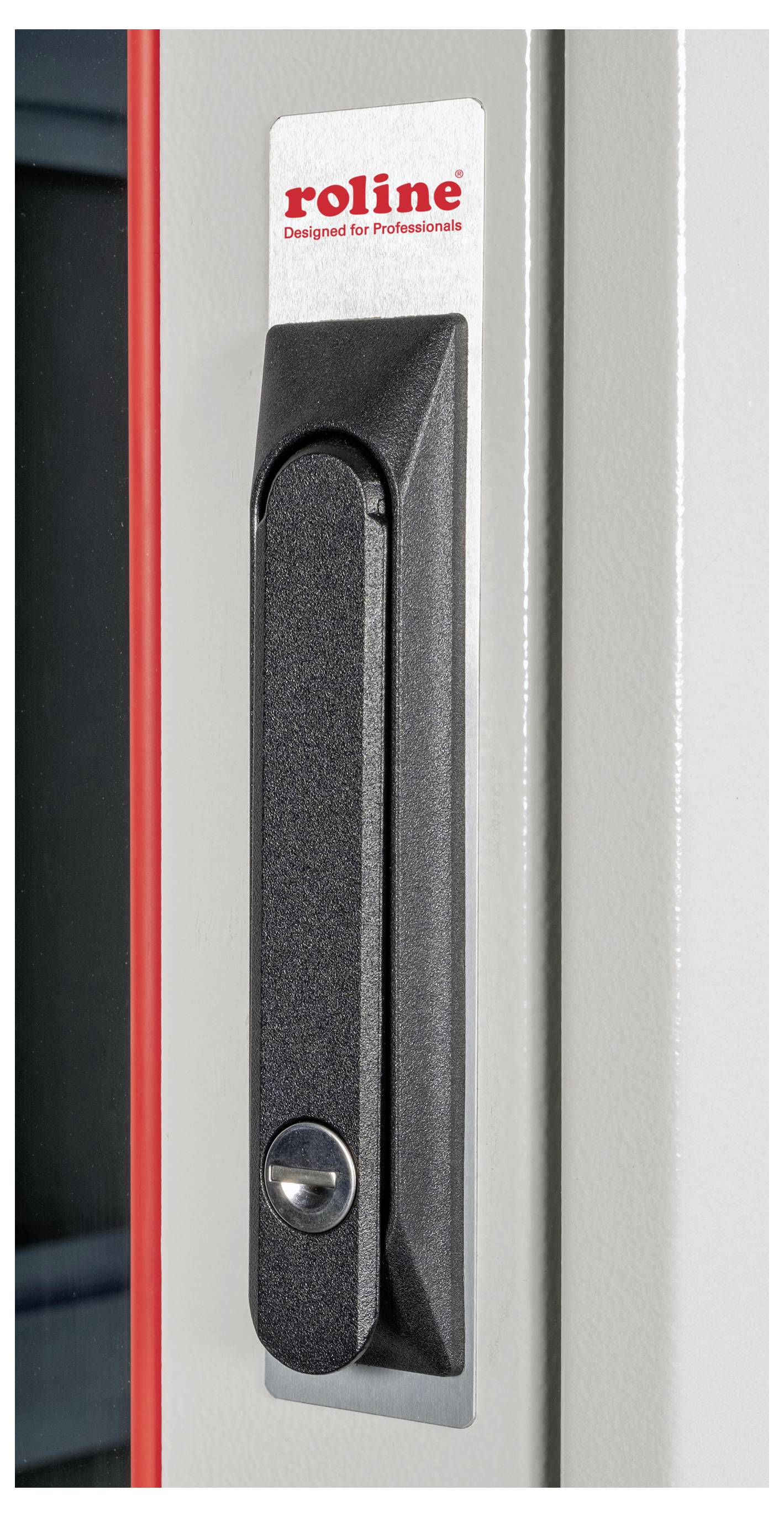 Uchwyt drzwi z napisem 'roline Designed for Professionals' u góry. Uchwyt jest osadzony w prostokącie ułożonym pionowo.