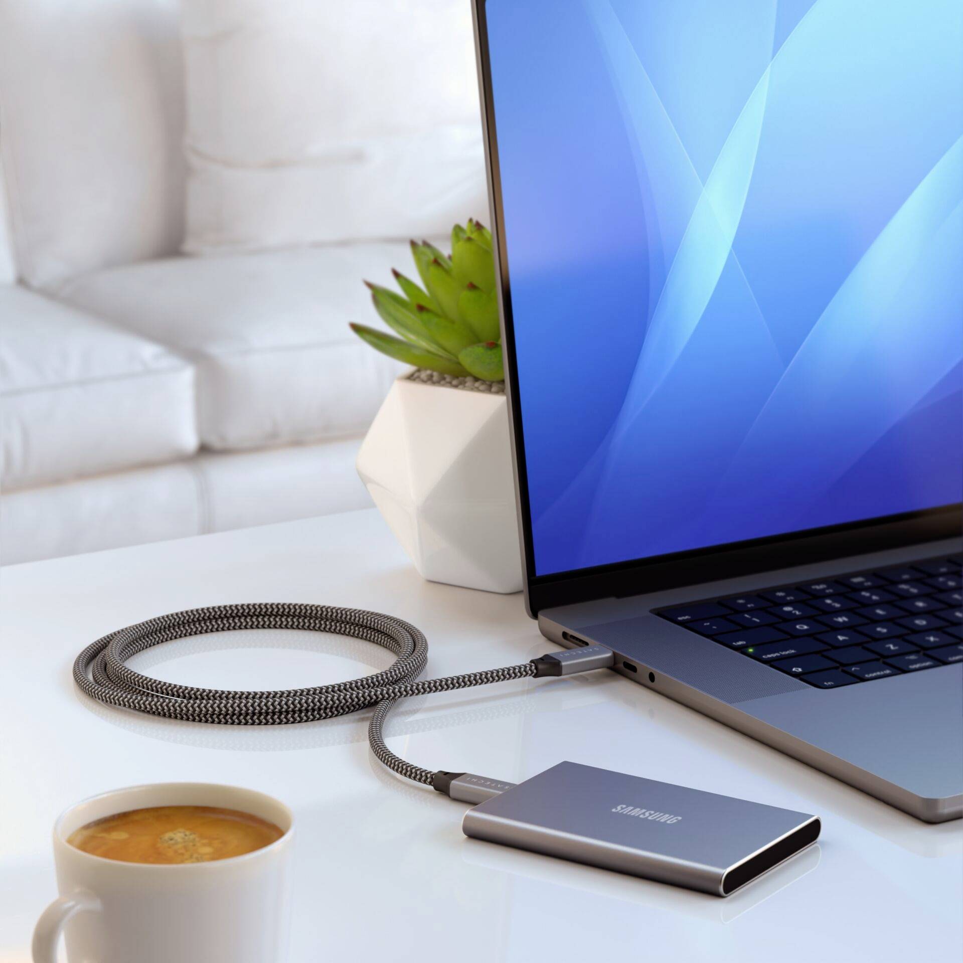 Laptop jest podłączony do zewnętrznego dysku twardego. W tle stoi roślina obok kubka, który leży na kanapie.