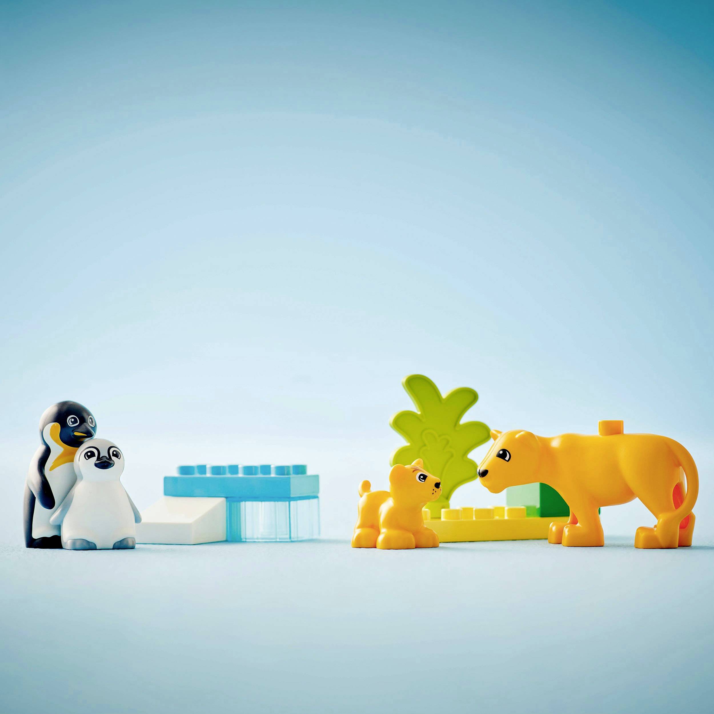 Para pingwinów z pisklęciem stoi po lewej stronie; po prawej dwa lwy z młodym osobnikiem obok klocków i palm na niebieskim tle.