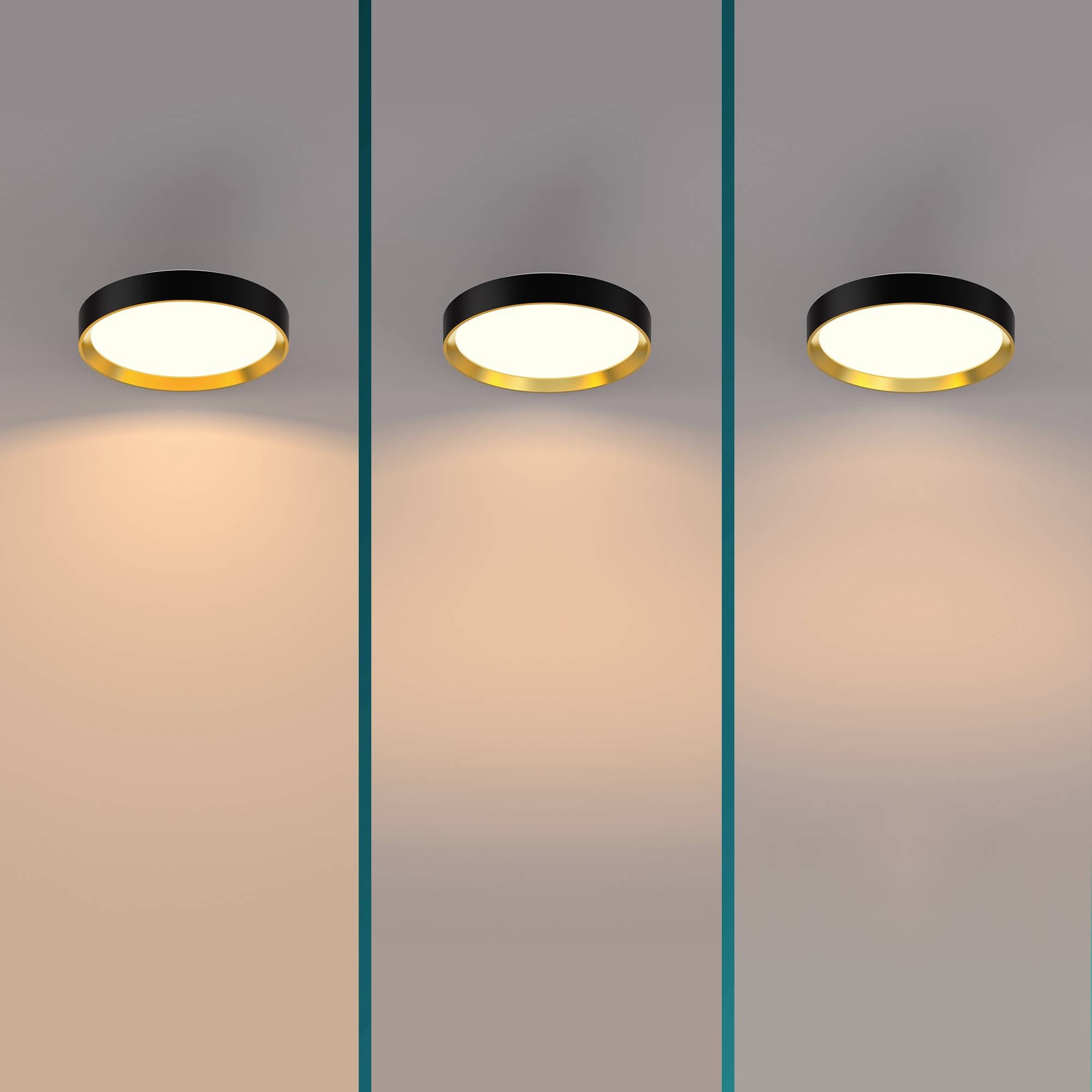 Philips Hanno 8720169301337 Світлодіодний стельовий світильник 24 Вт 2700 лм чорний, золотий