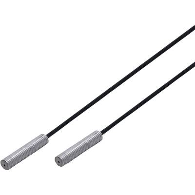 Dwie czarne anteny z srebrnymi, piórkowatymi zakończeniami na białym tle. Są ułożone równolegle względem siebie.