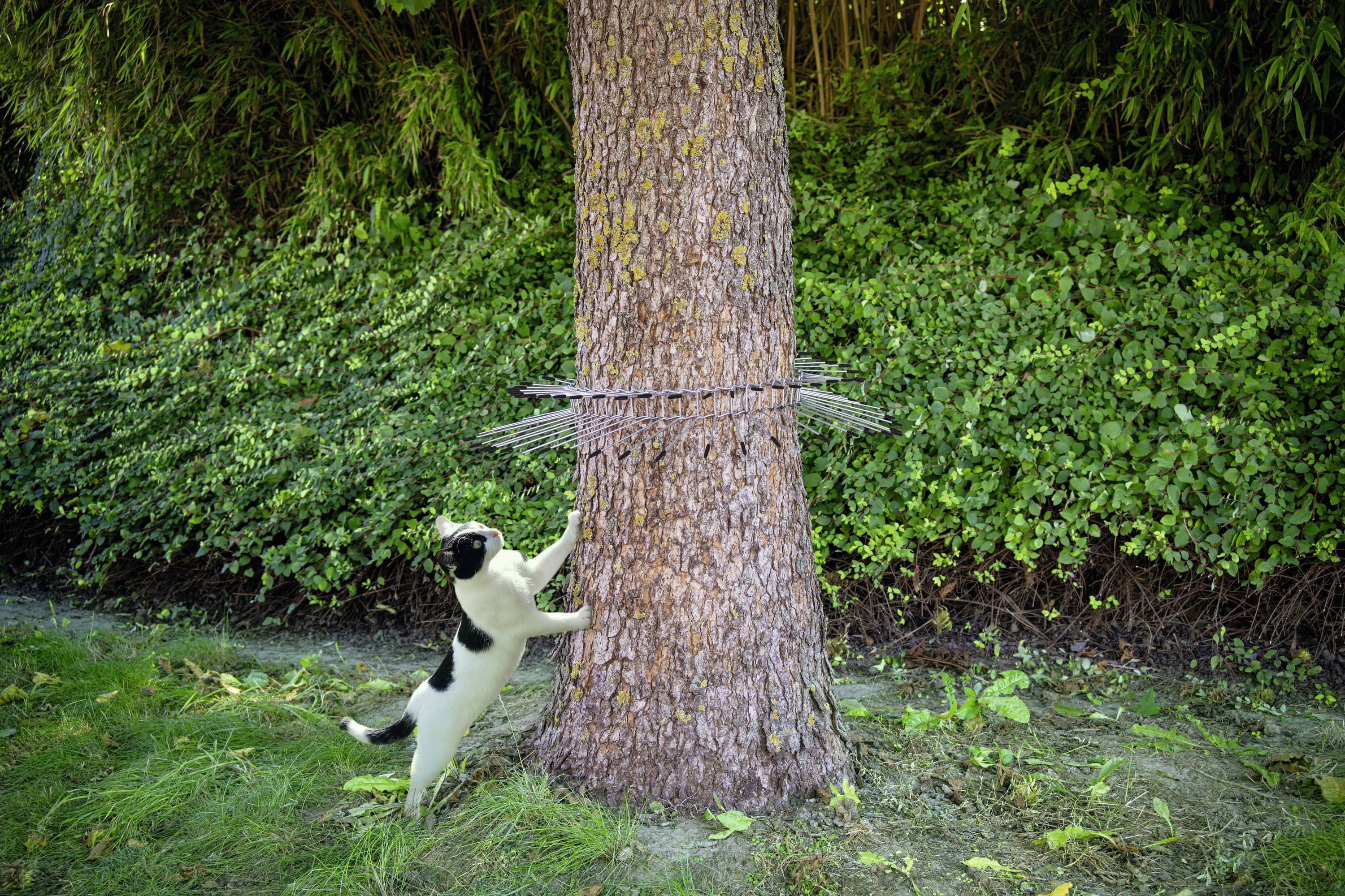 Відлякувач шкідників Gardigo Waschbär-, Marder-, Katzen- Abwehrgürtel 60067INT